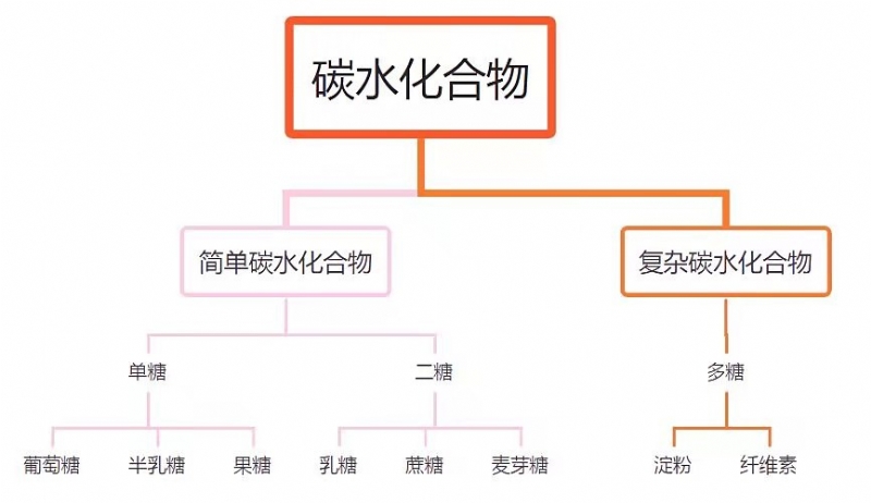 2025新老澳门原料